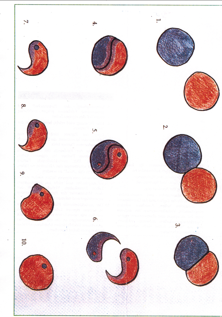 Yin und Yang - Vorlage